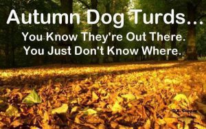 hidden-dog-turds